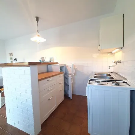 Apartman Zen Punta *