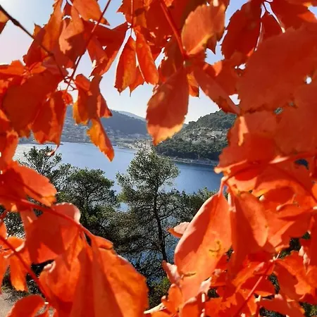 Apartman Zen Punta * 푸치스차